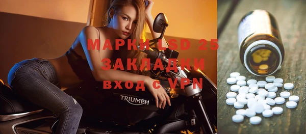 гидропоника Горнозаводск