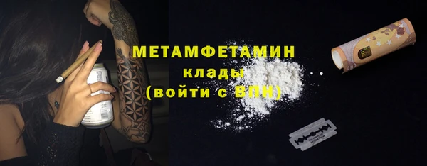прущие грибы Горняк