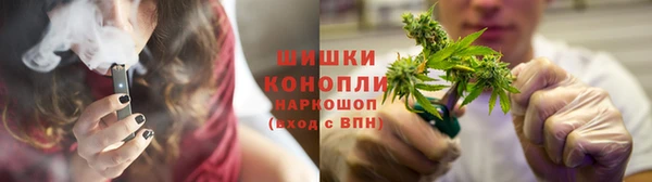 прущие грибы Горняк