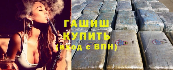 прущие грибы Горняк
