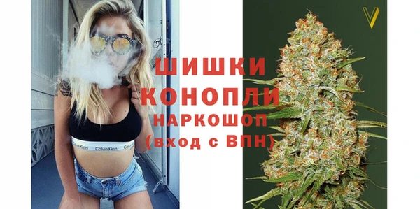 гидропоника Горнозаводск